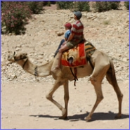jordanie gezin trektocht kameel